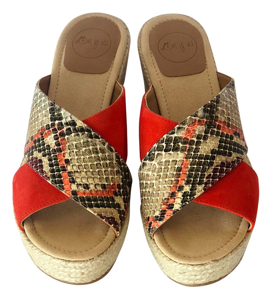 Aquiles Coral Mule