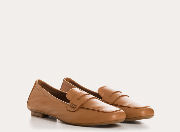 REQINS HEMA - CAMEL