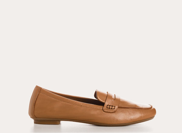 REQINS HEMA - CAMEL