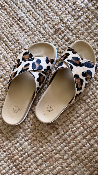 Leopard Cruisers