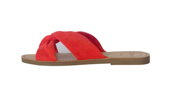 Hibiscus Slide