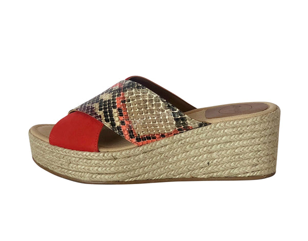 Aquiles Coral Mule